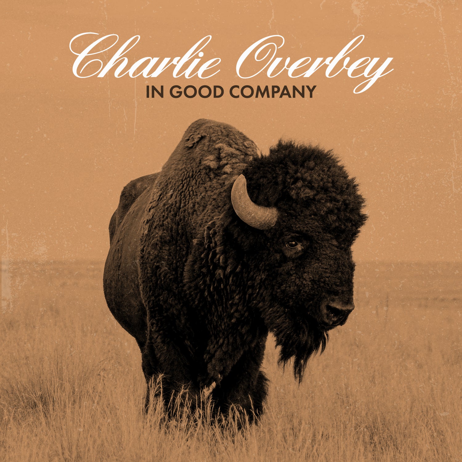 Charlie Overbey New 2024 Album Release - In Good Company - CD Presale With 3 Bonus Tracks !