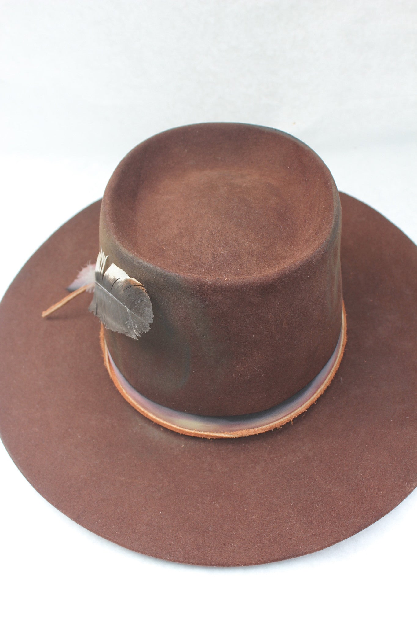 "The Savannah" Dark Chestnut Lone Hawk