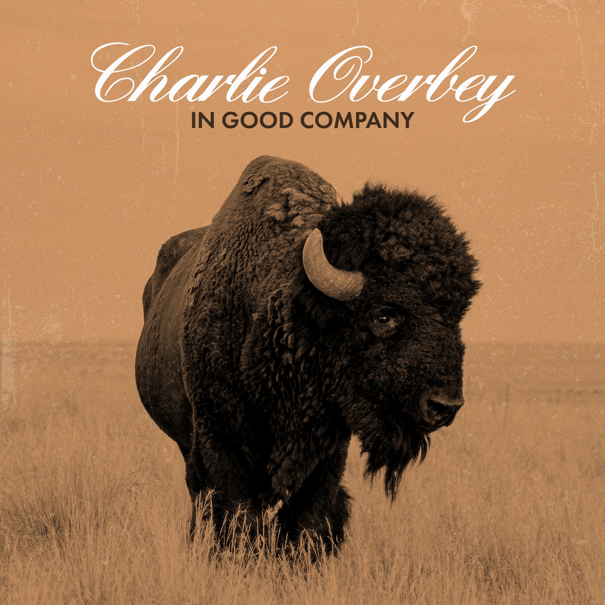 Charlie Overbey 2024 New Release- In Good Company- Vinyl Album Presale